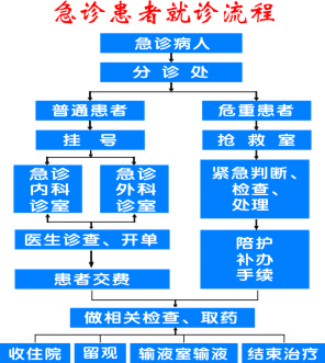 急诊患者就诊流程.jpg