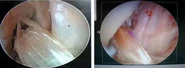 图片5.jpg 图片5.jpg